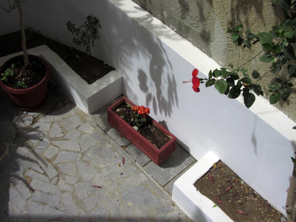 Petra Hotel Agia Galini Eksteriør bilde